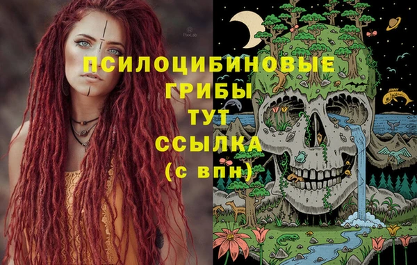 стафф Белоозёрский
