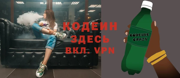 гашик Бородино