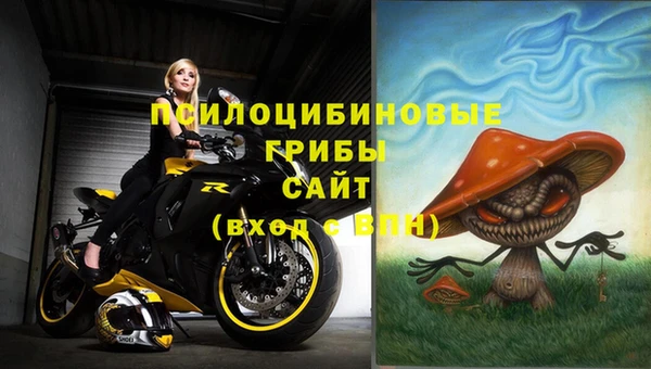 гашик Бородино
