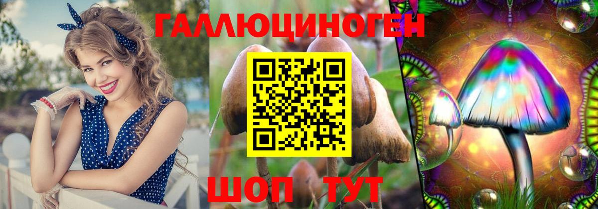 Гай  Псилоцибиновые грибы Magic Shrooms  Вход с VPN 